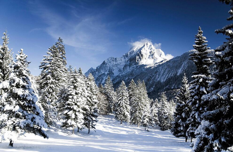 在雪松地區發(fā)生嚴重火災 消防應急燈應該如何使用