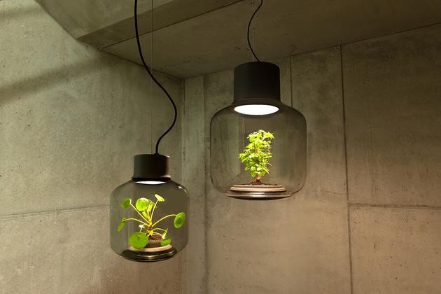 將植物放在一款密閉的LED燈具中能持續生長(cháng)嗎？